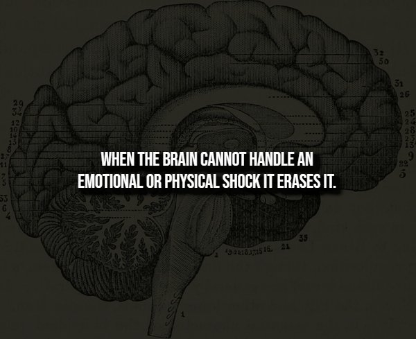 interestingfacts360_011