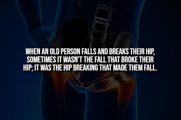 interestingfacts360_012