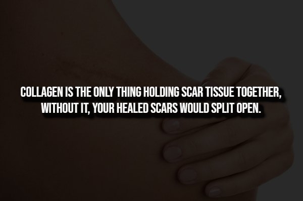 interestingfacts360_014