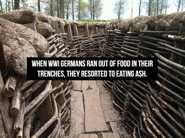 interestingfacts361_001