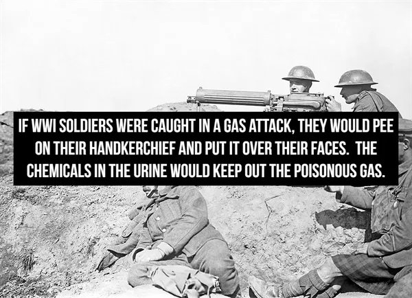 interestingfacts361_003