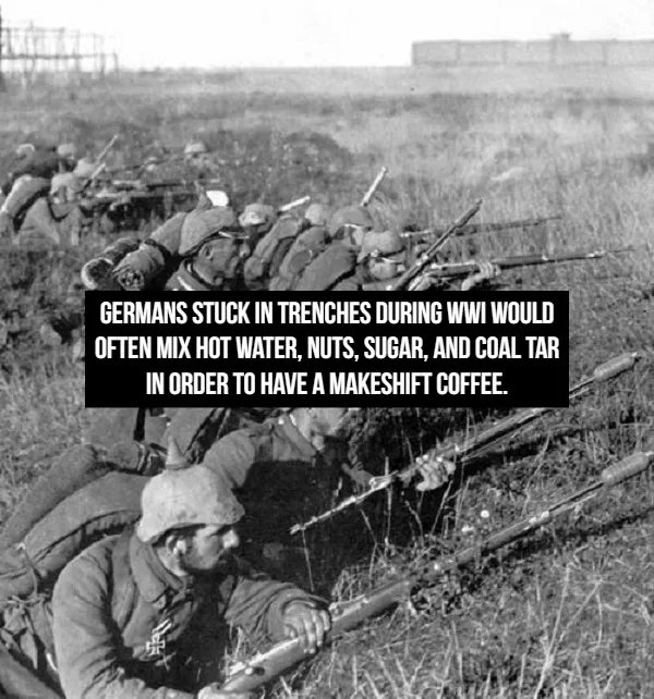 interestingfacts361_004