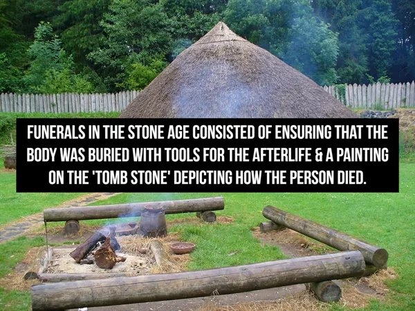interestingfacts361_009