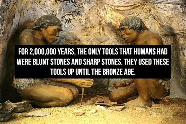 interestingfacts361_010