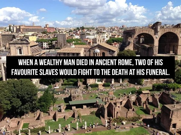 interestingfacts361_011