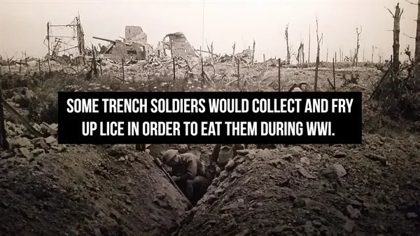 interestingfacts361_012