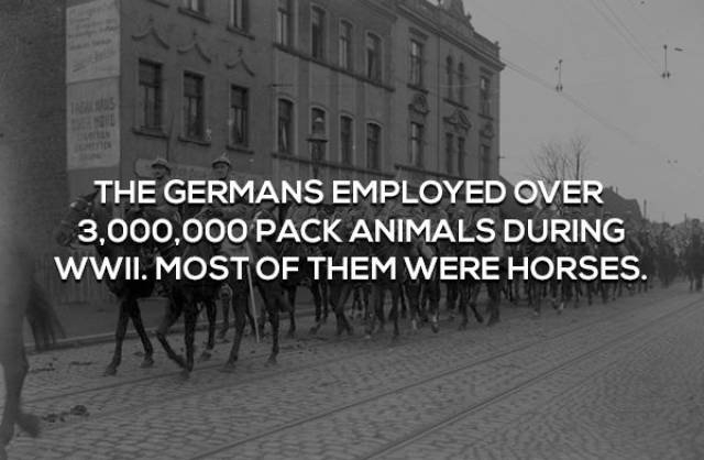 interestingfacts362_011