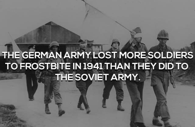 interestingfacts362_012