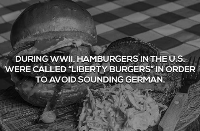 interestingfacts362_013