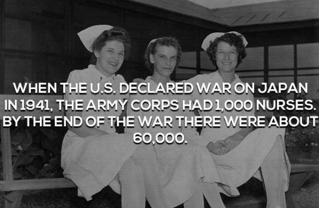 interestingfacts362_014