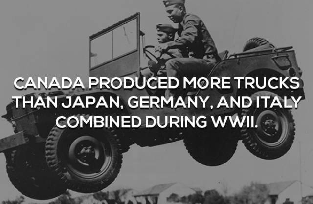 interestingfacts362_016