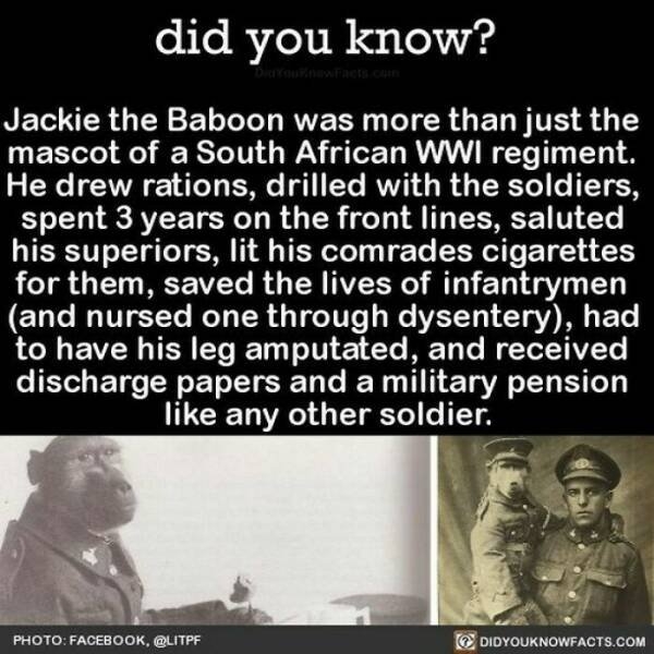 interestingfacts364_001