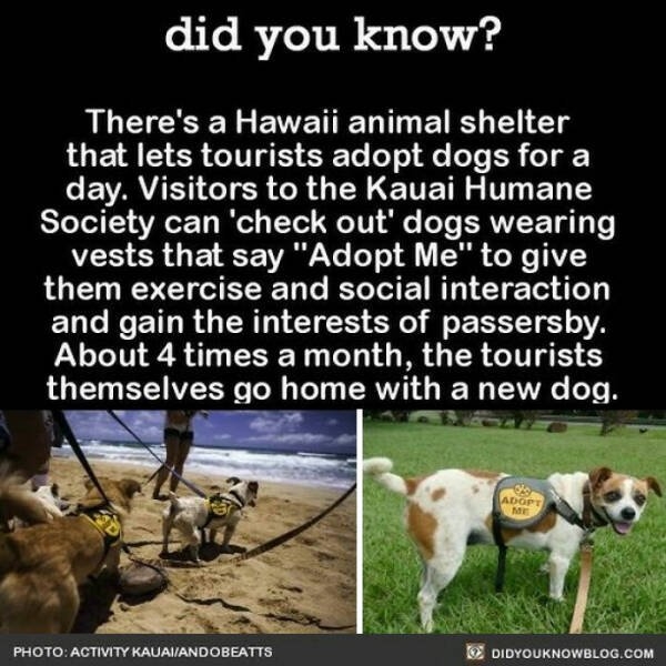 interestingfacts364_002