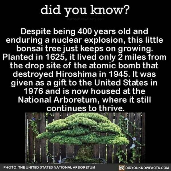 interestingfacts364_003