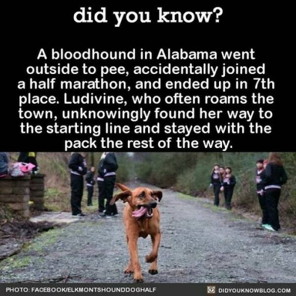interestingfacts364_006