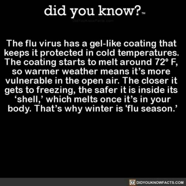interestingfacts364_009