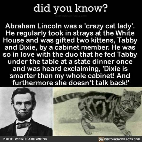 interestingfacts364_012