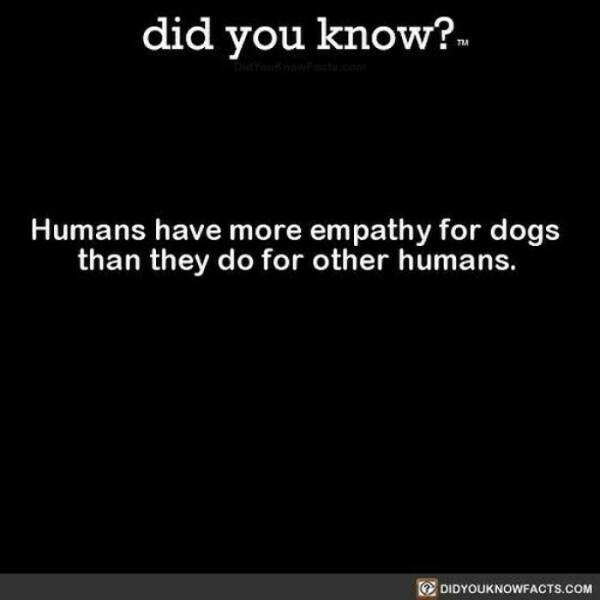 interestingfacts364_019
