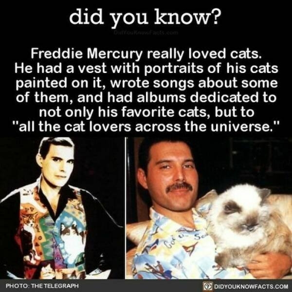 interestingfacts364_020