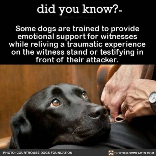 interestingfacts364_022
