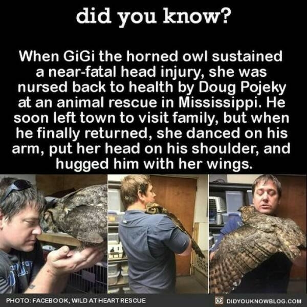 interestingfacts364_023