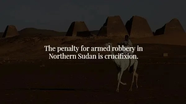 interestingfacts365_006
