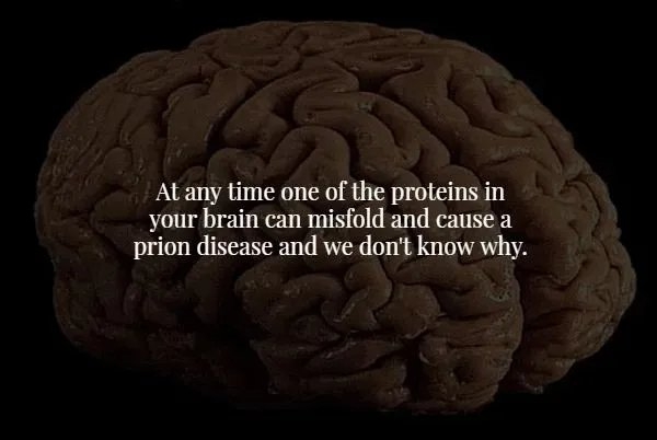 interestingfacts365_007