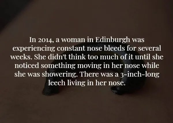 interestingfacts365_008
