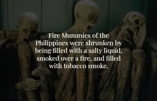 interestingfacts365_014