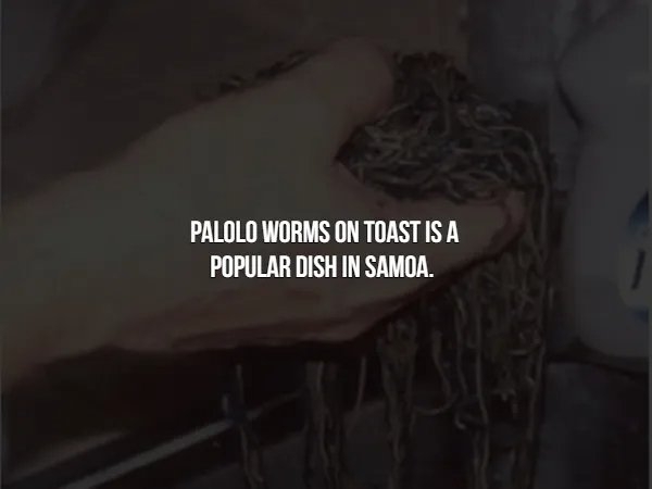 interestingfacts366_001