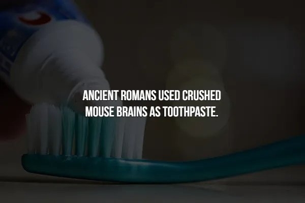interestingfacts366_002