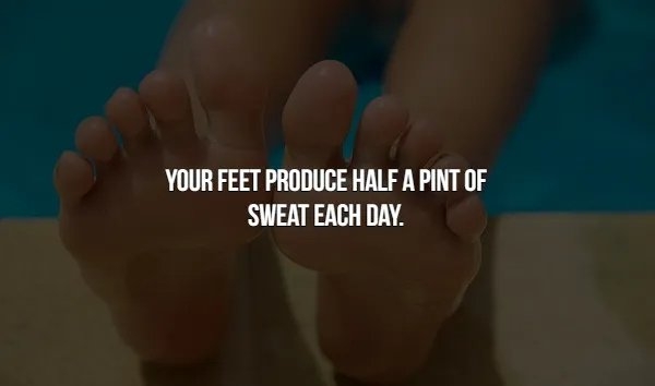 interestingfacts366_003