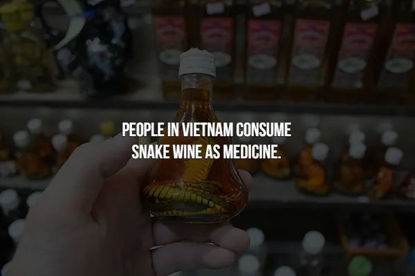 interestingfacts366_004