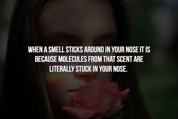 interestingfacts366_005