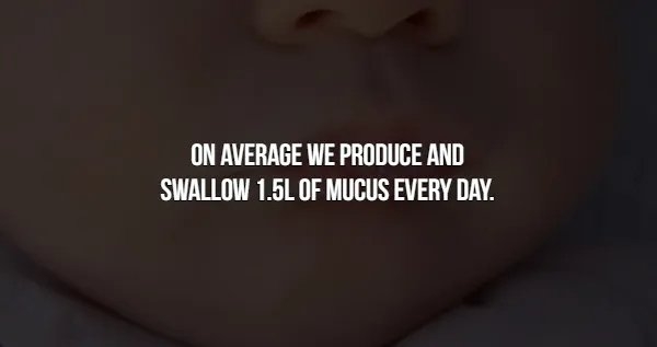 interestingfacts366_006