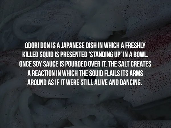 interestingfacts366_007