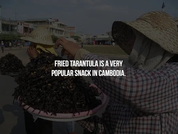 interestingfacts366_008