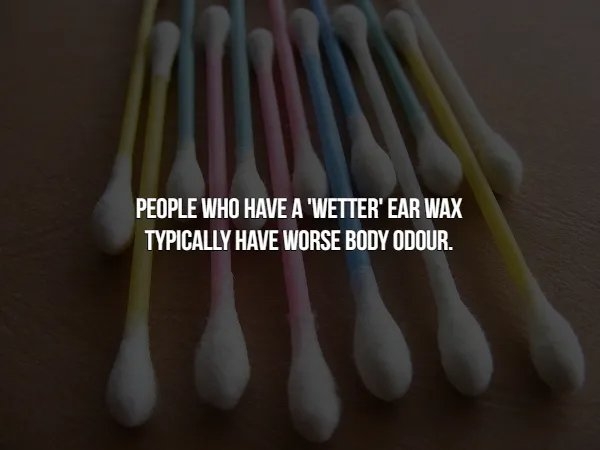 interestingfacts366_009