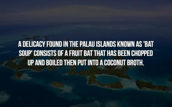 interestingfacts366_011
