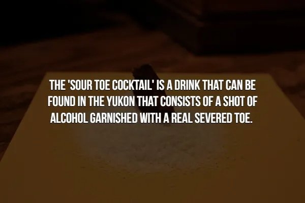 interestingfacts366_014