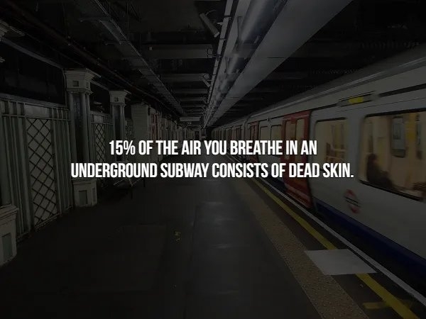 interestingfacts366_015