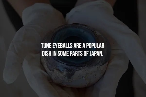 interestingfacts366_016