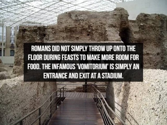 interestingfacts367_006