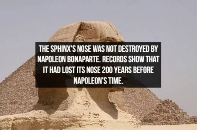 interestingfacts367_009