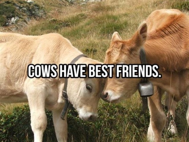 interestingfacts368_011