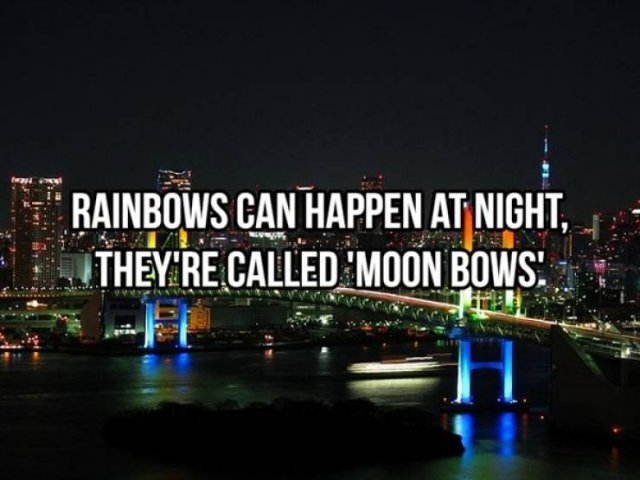 interestingfacts368_012