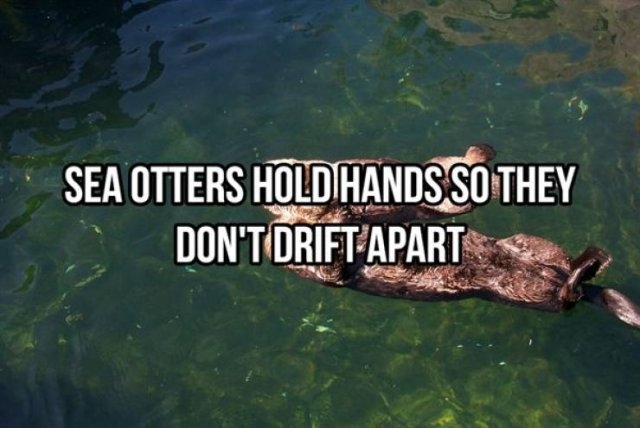 interestingfacts368_013