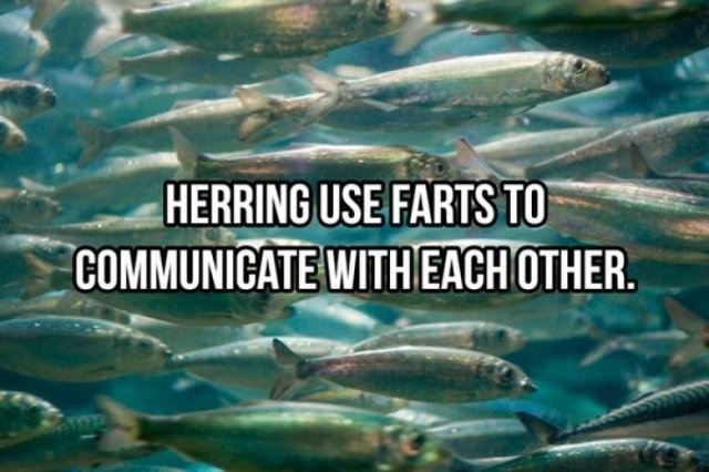 interestingfacts368_014