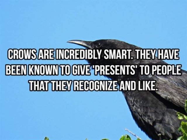 interestingfacts368_015