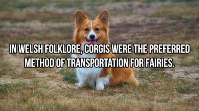 interestingfacts368_017